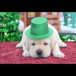 Meet your Posher, Mariah